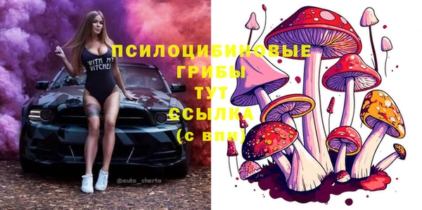 гидропоника Беломорск